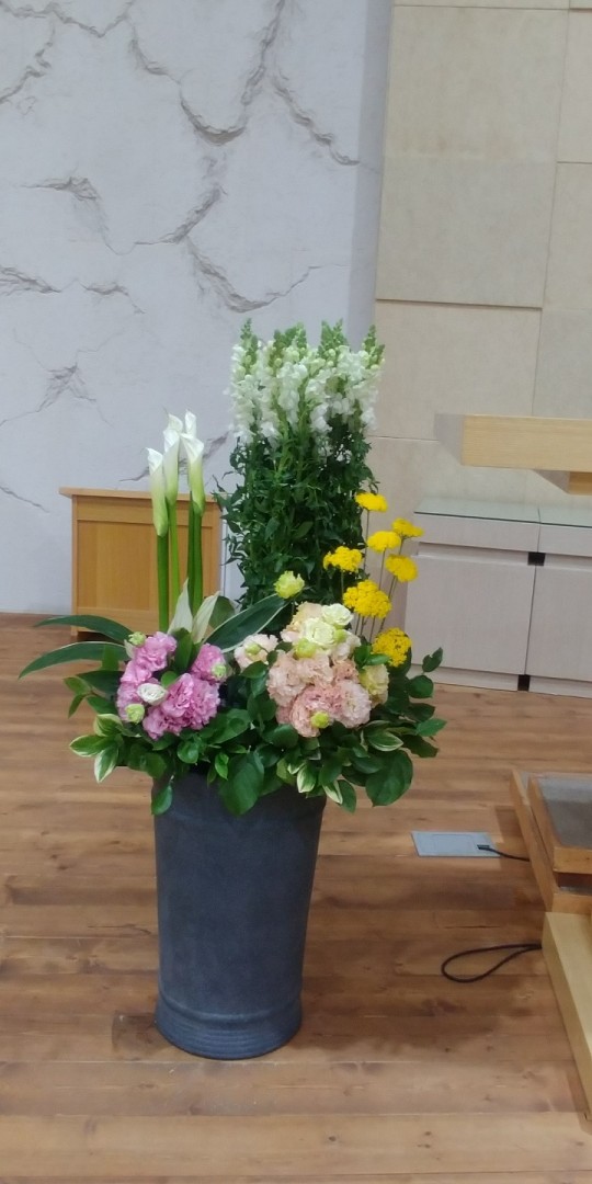 KakaoTalk_20190427_105113798.jpg