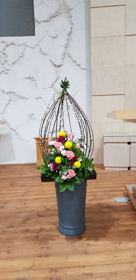 KakaoTalk_20190223_174611798.jpg